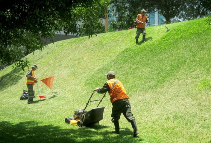 Curso De Mantenimiento De Jardines - Esacan