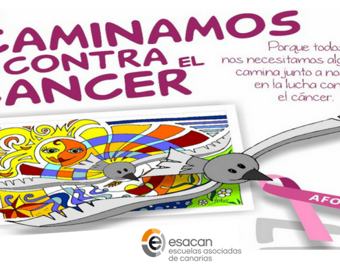 Lucha contra el Cáncer de Mama
